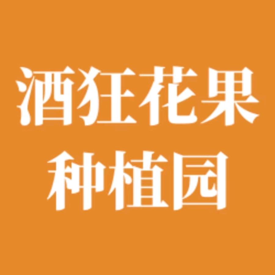 乾县姜村酒狂花果种植园