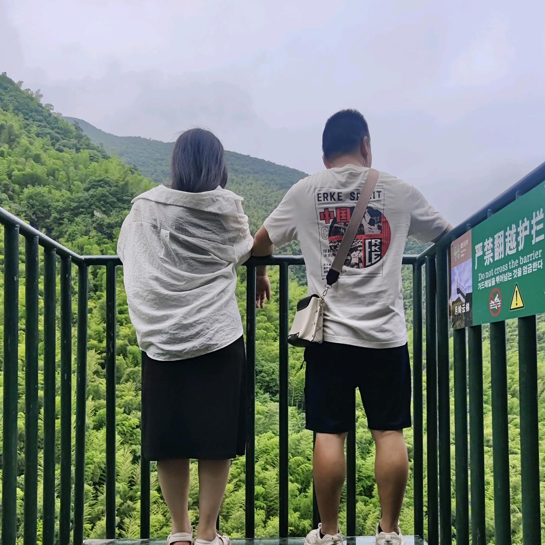 陈晓林