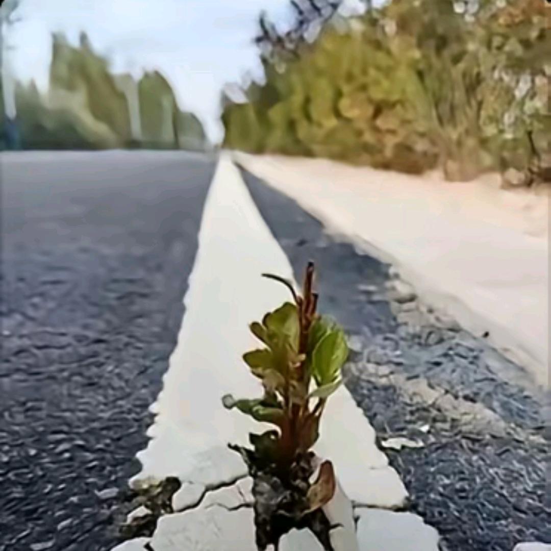 嘀嘀嘀哒哒哒