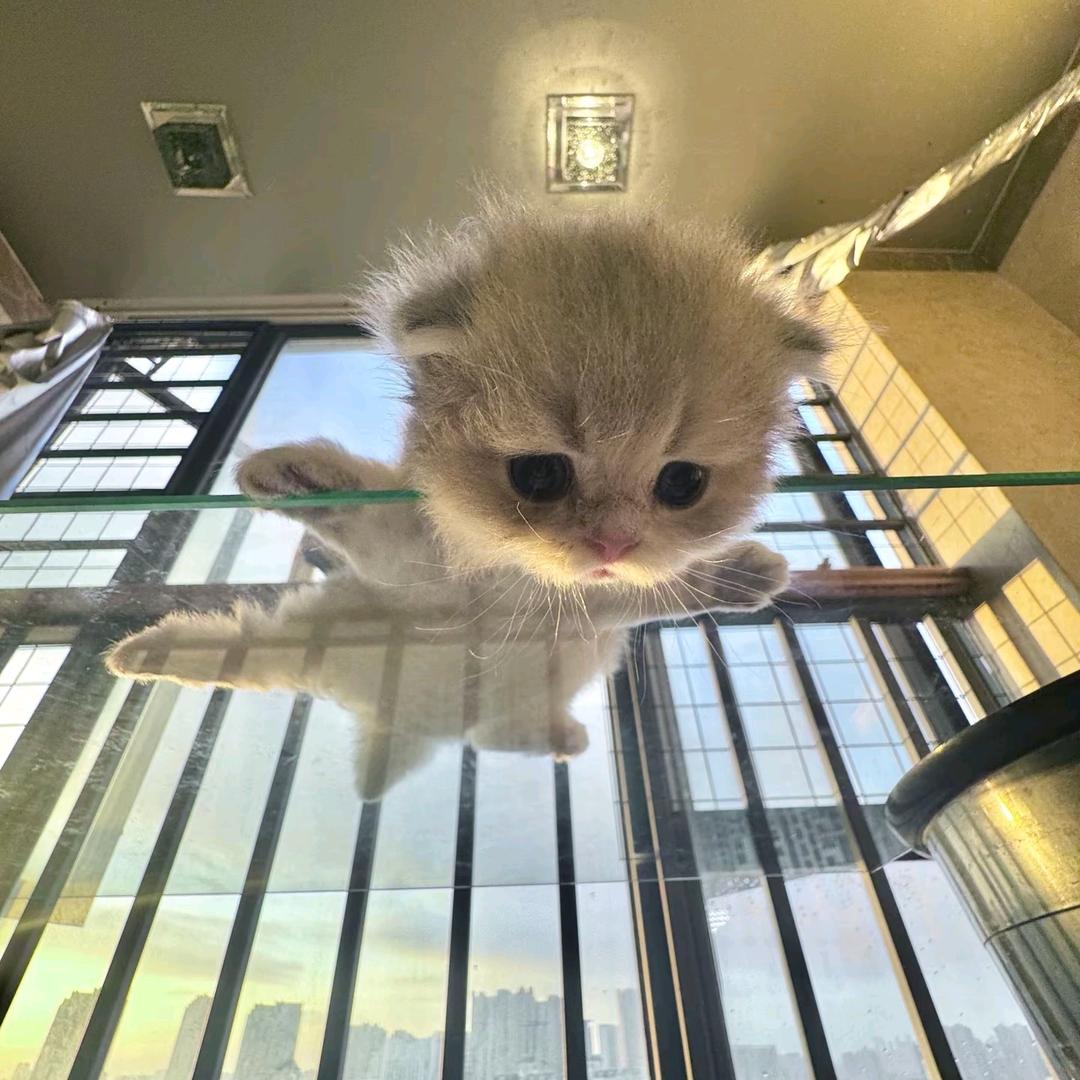 🌈白菜炒土豆🥔