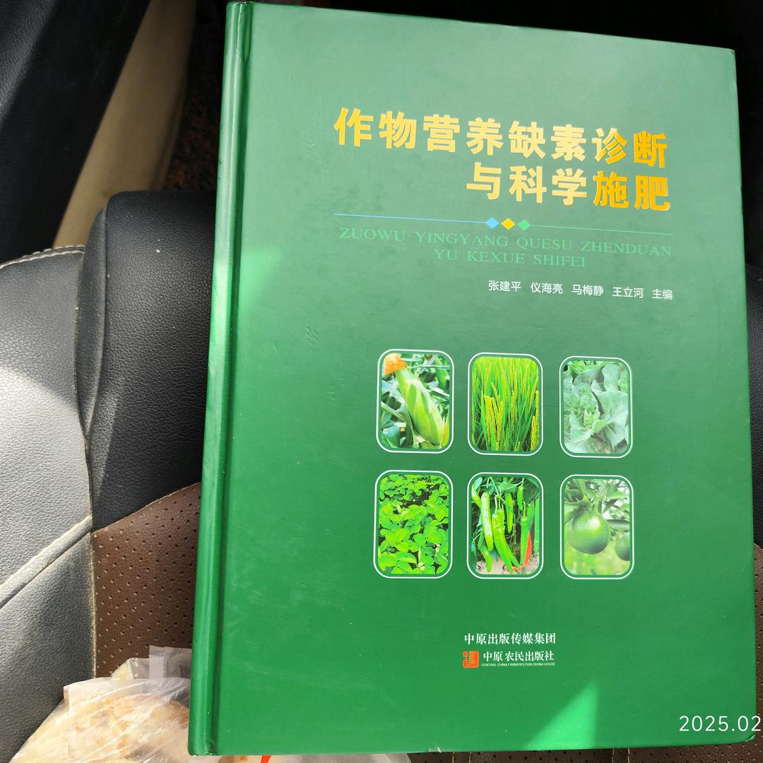 远在她想