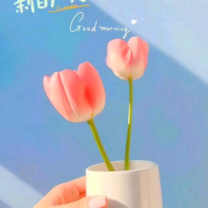 涵晨鑫