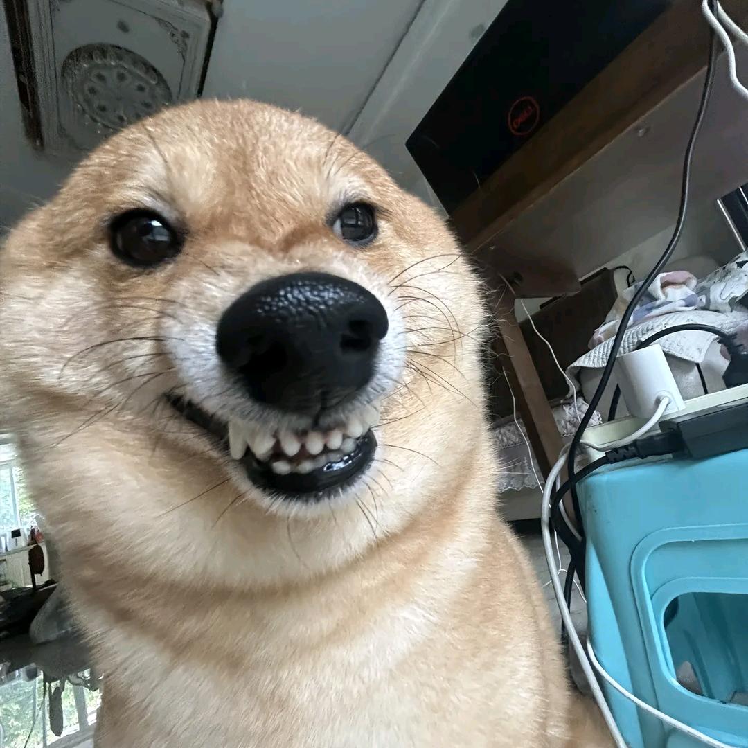 ¹²³∞