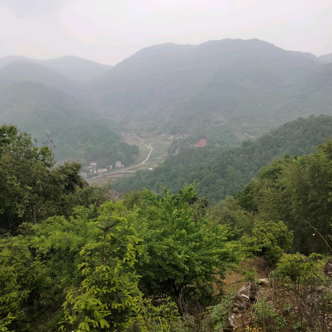 中业