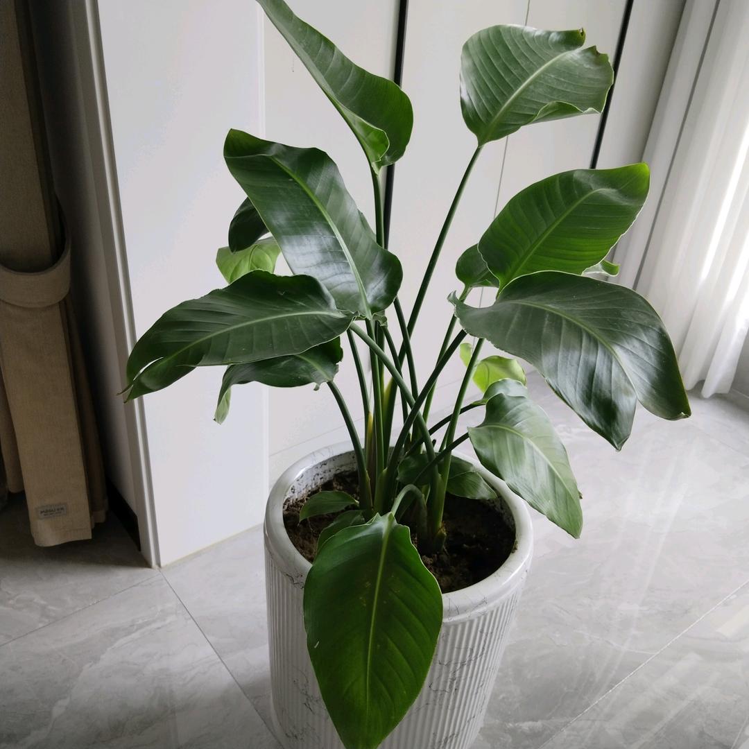 (｡♡顺其自然♡｡)