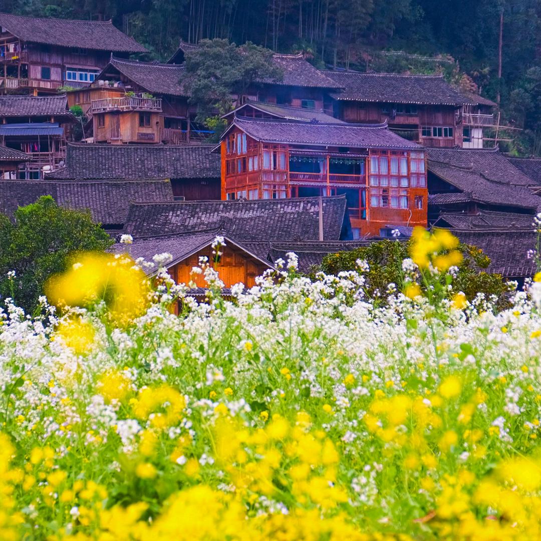 海江湖河水