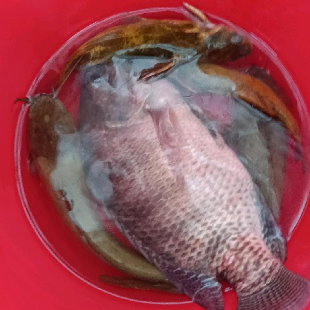 雾绕空山。不见五指。