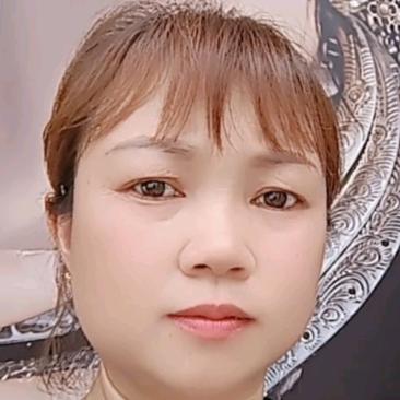 杨鸿