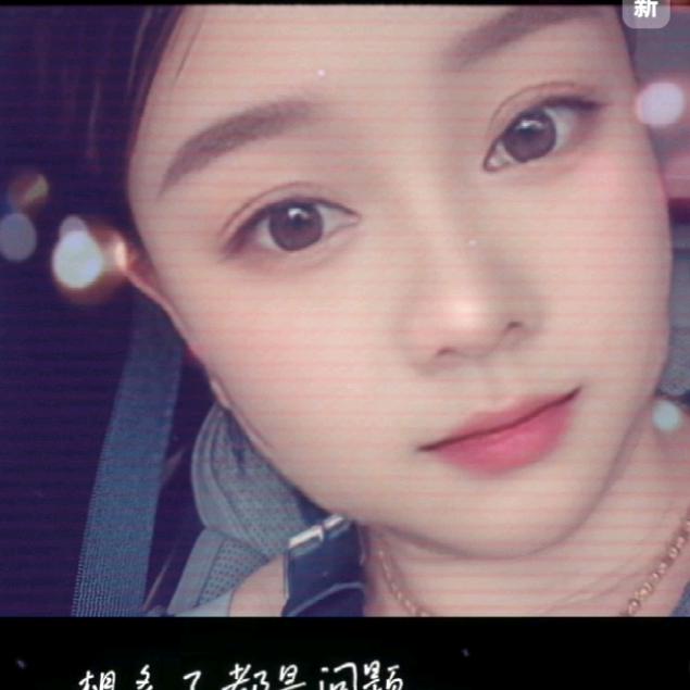 燕子55558888