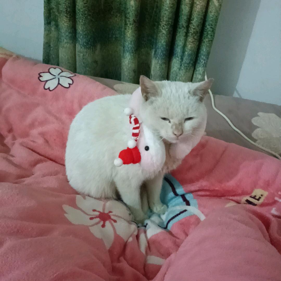 花开福贵