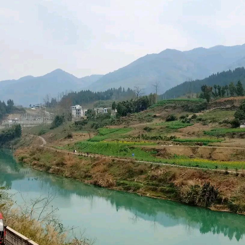 缘来是幸福