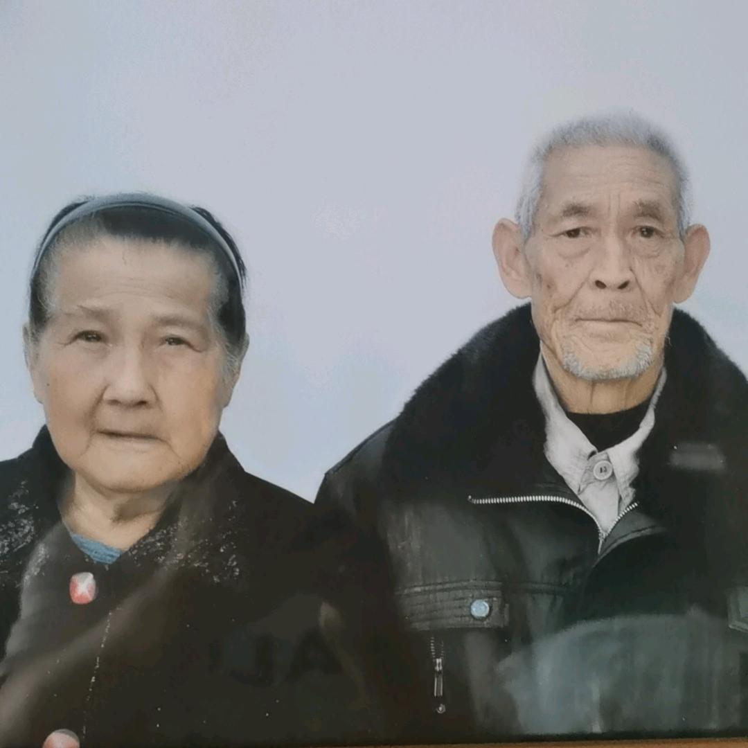 芝麻开花节节高，又是过去，迎接新的一年奋