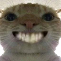 旭旭