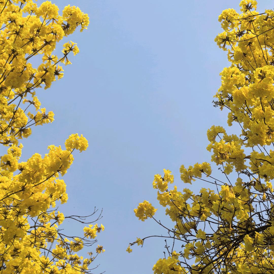 永儿[好物分享]