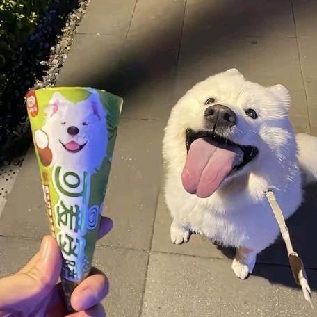 不发脾气只发财