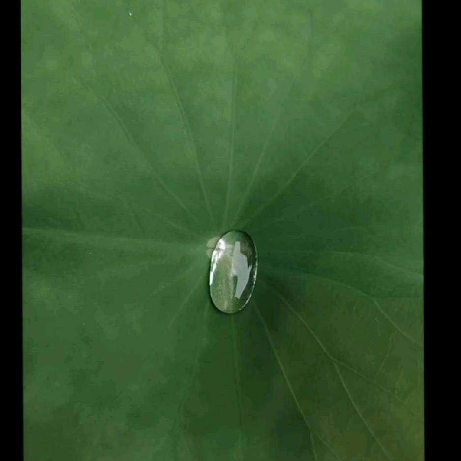 灵犀