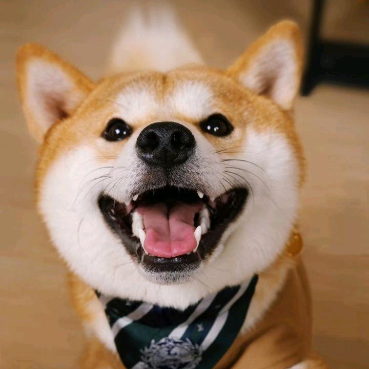 源味的果汁真知棒.
