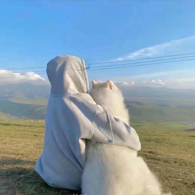 星然 ..
