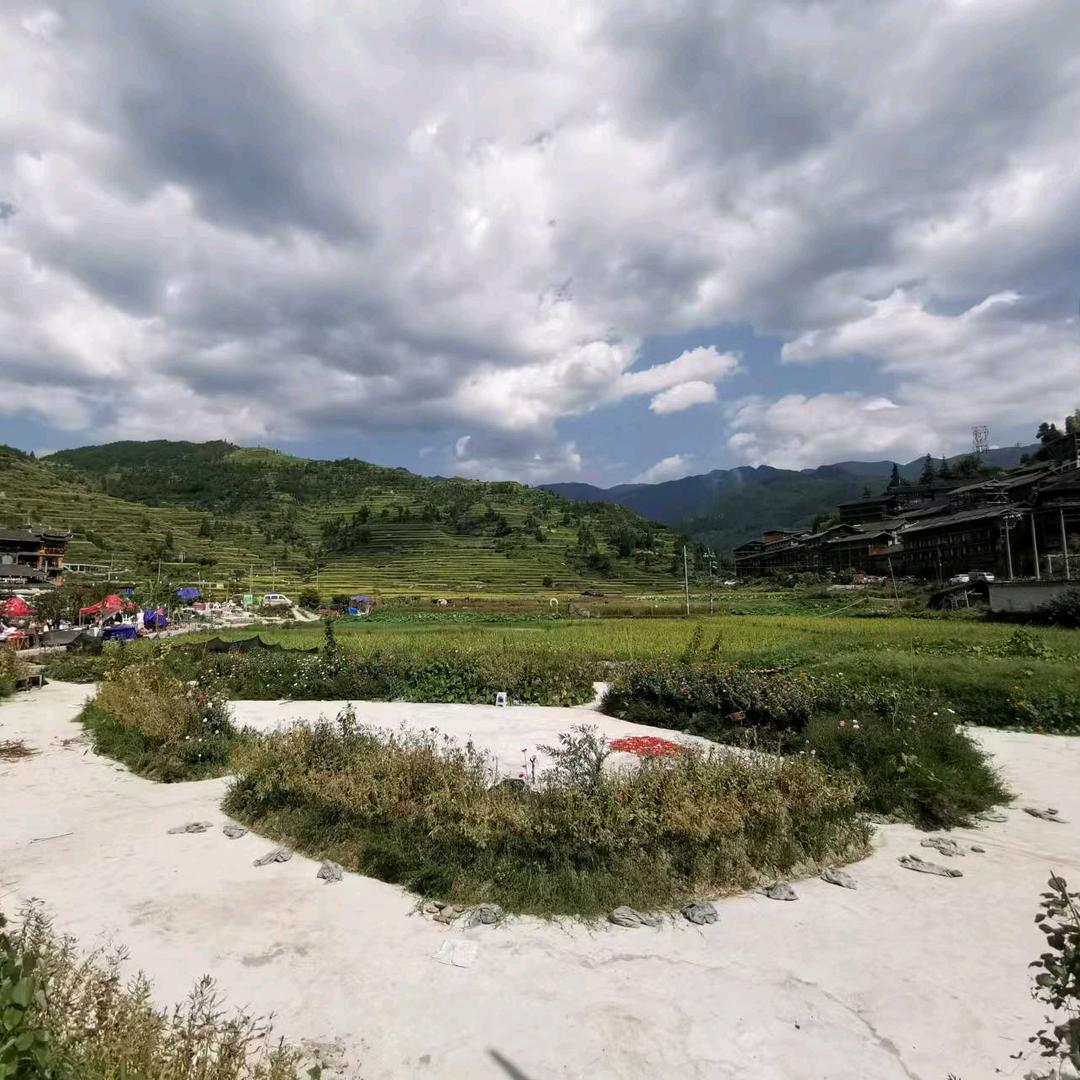 岁月匆匆