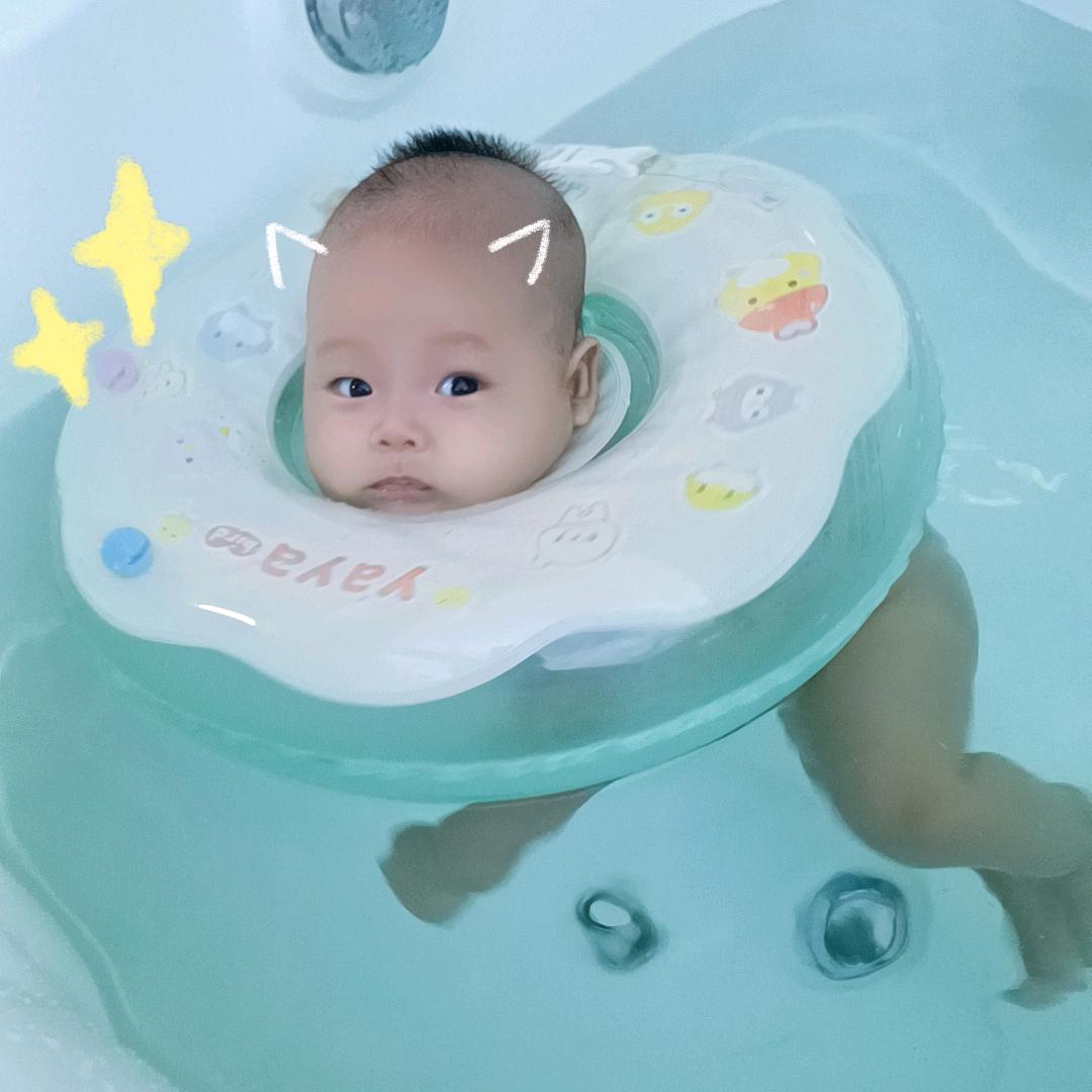 叶子💖你   海豚湾水育馆