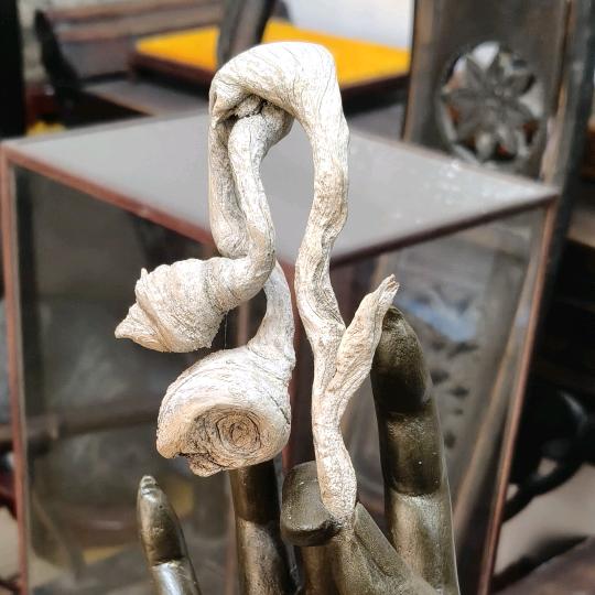 石家庄非遗崖柏馆的头像