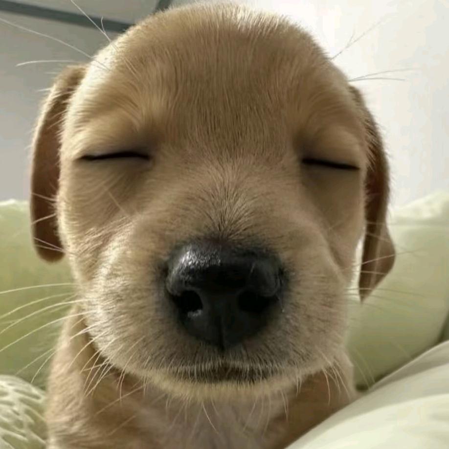 甲钴胺  治你的来了🤪