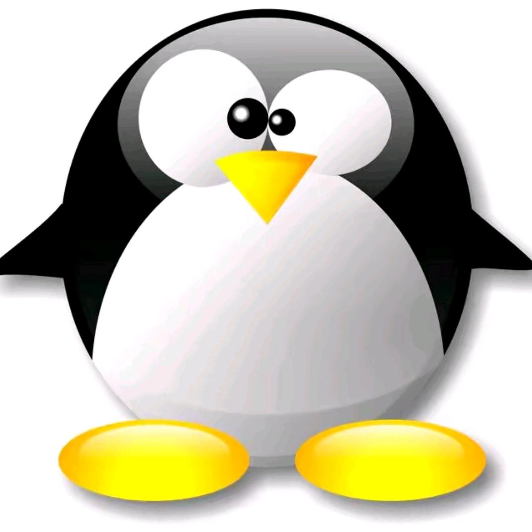 迷你世界。寒`王