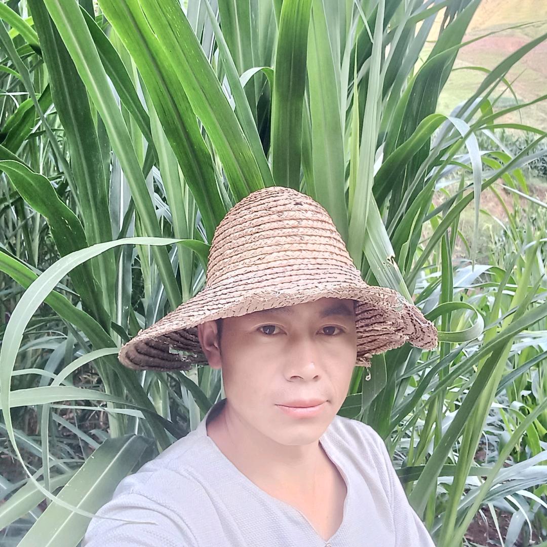 小酒哥巜酿酒人》