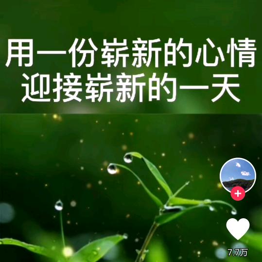清晨雨露