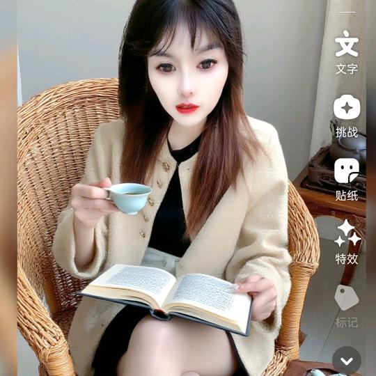 小燕子