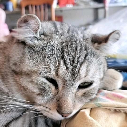 妮妮宝贝我爱你们