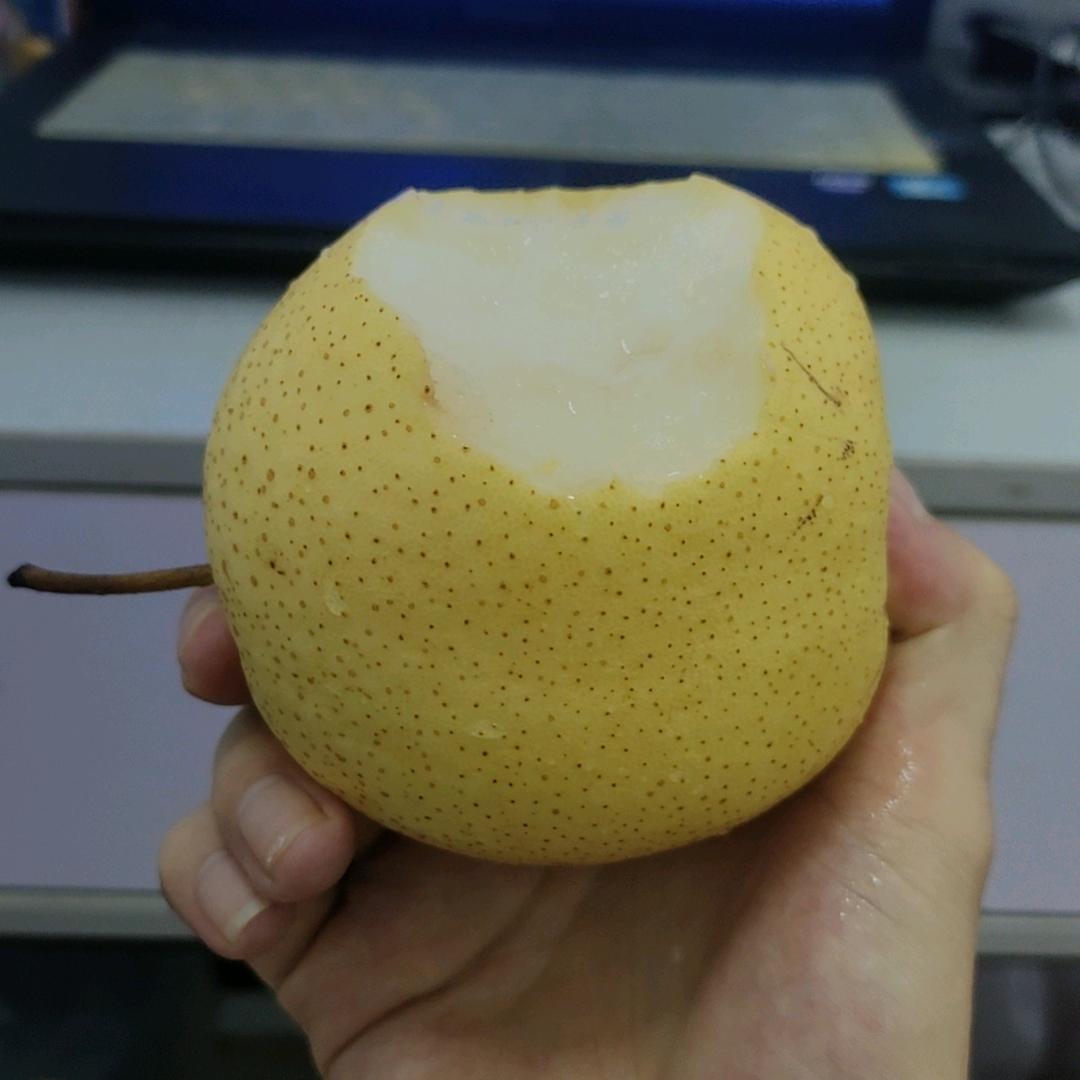 爱飞石头