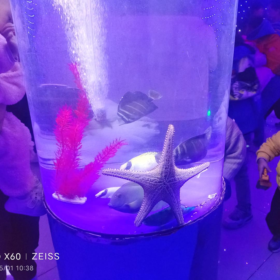 愛吭愛乚