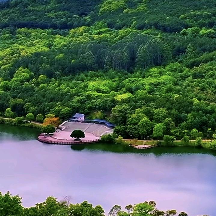 逍遥哥
