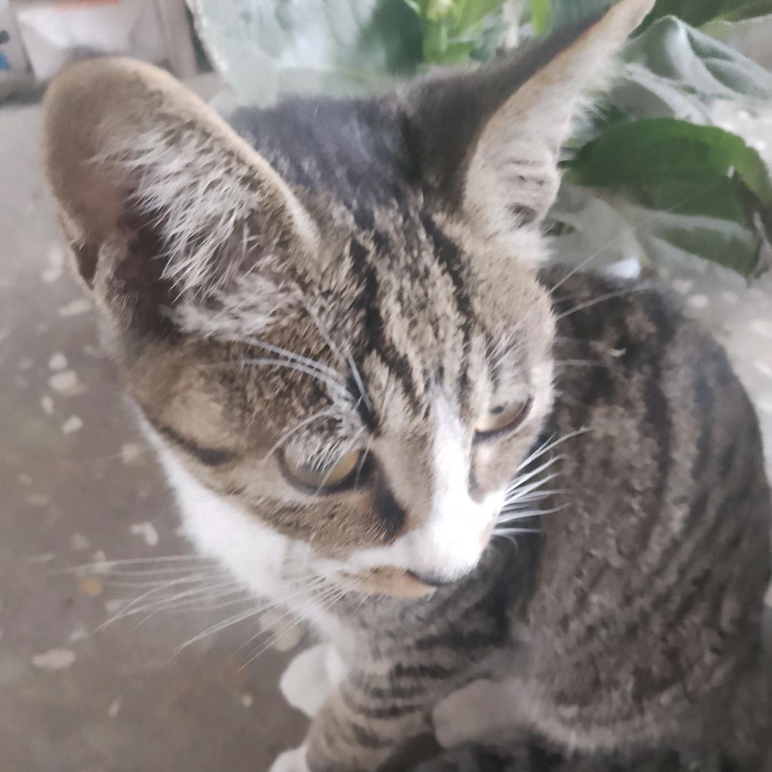 💕《别理我》心烦💕