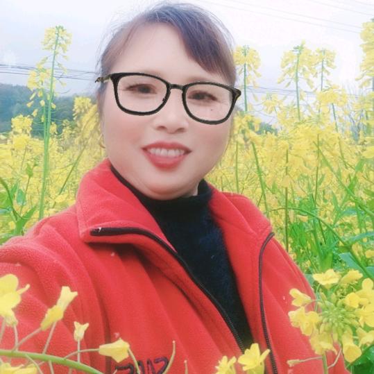 友谊
