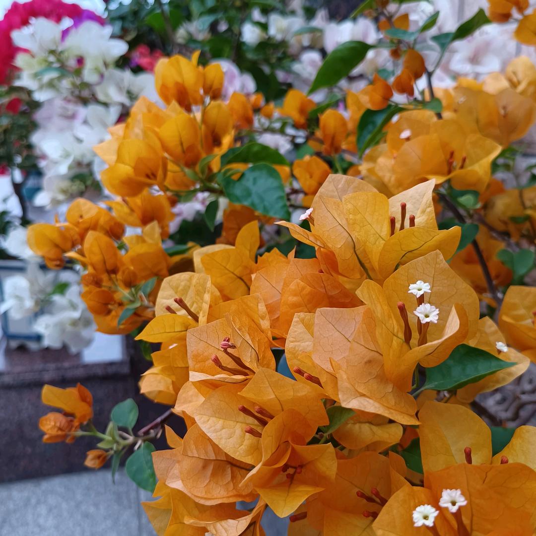 🍄闲暇时光～