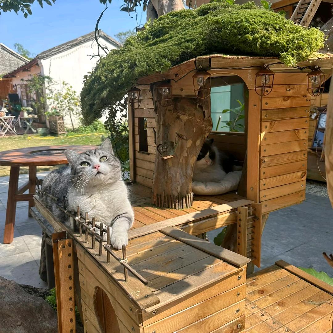 养老民宿小院（李小哲）