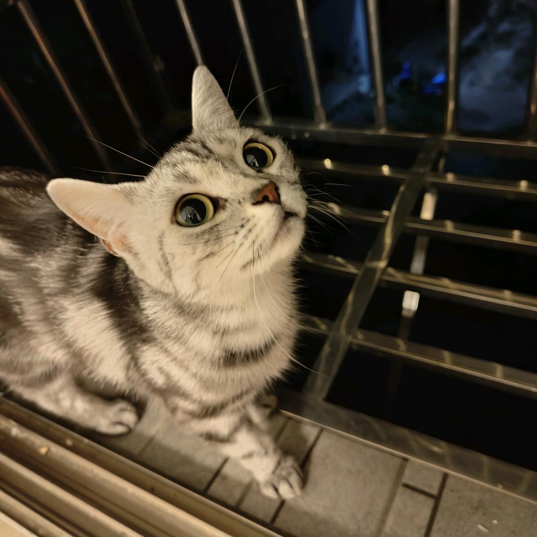 微胖小阿姨