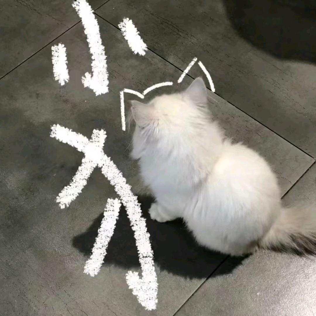 有机物llllllll