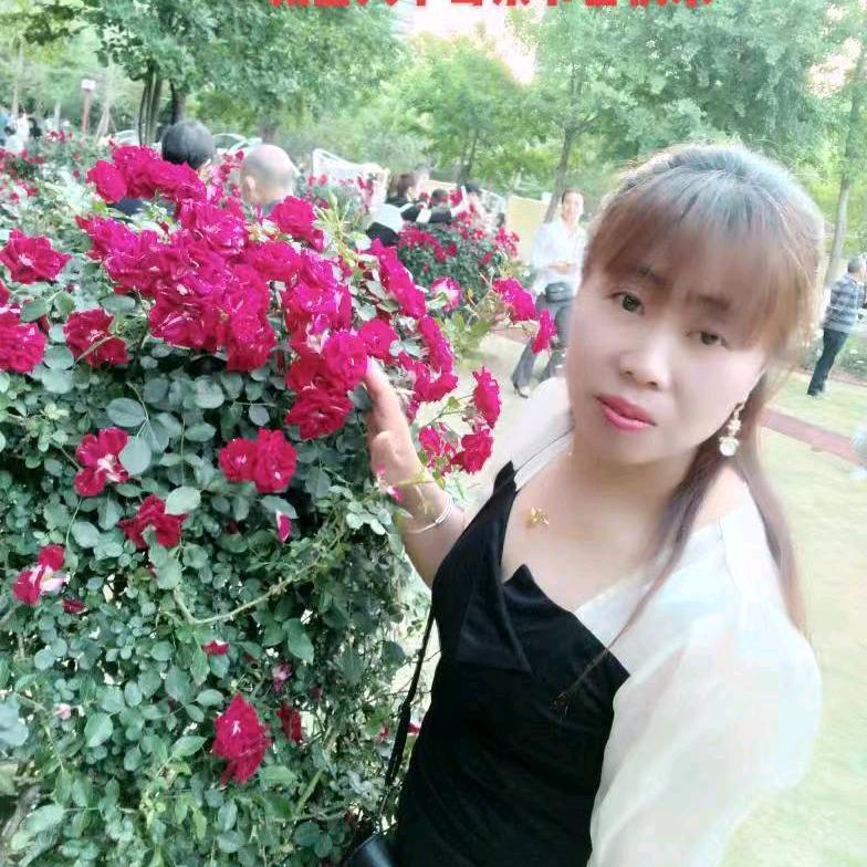 菲飞，(早上五点半开播)
