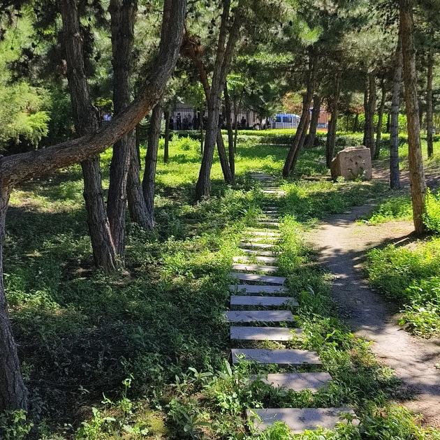 恭，喜，发，财