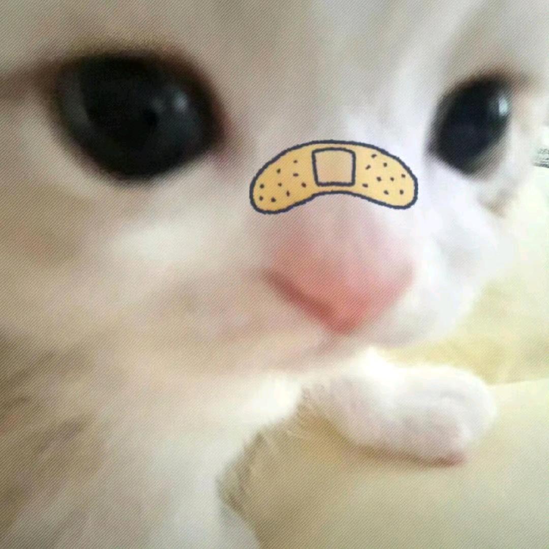 一尾鱼