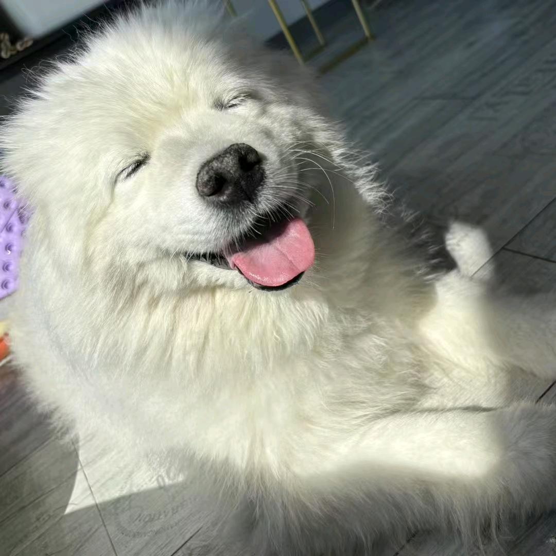 指尖上的星河丶WS