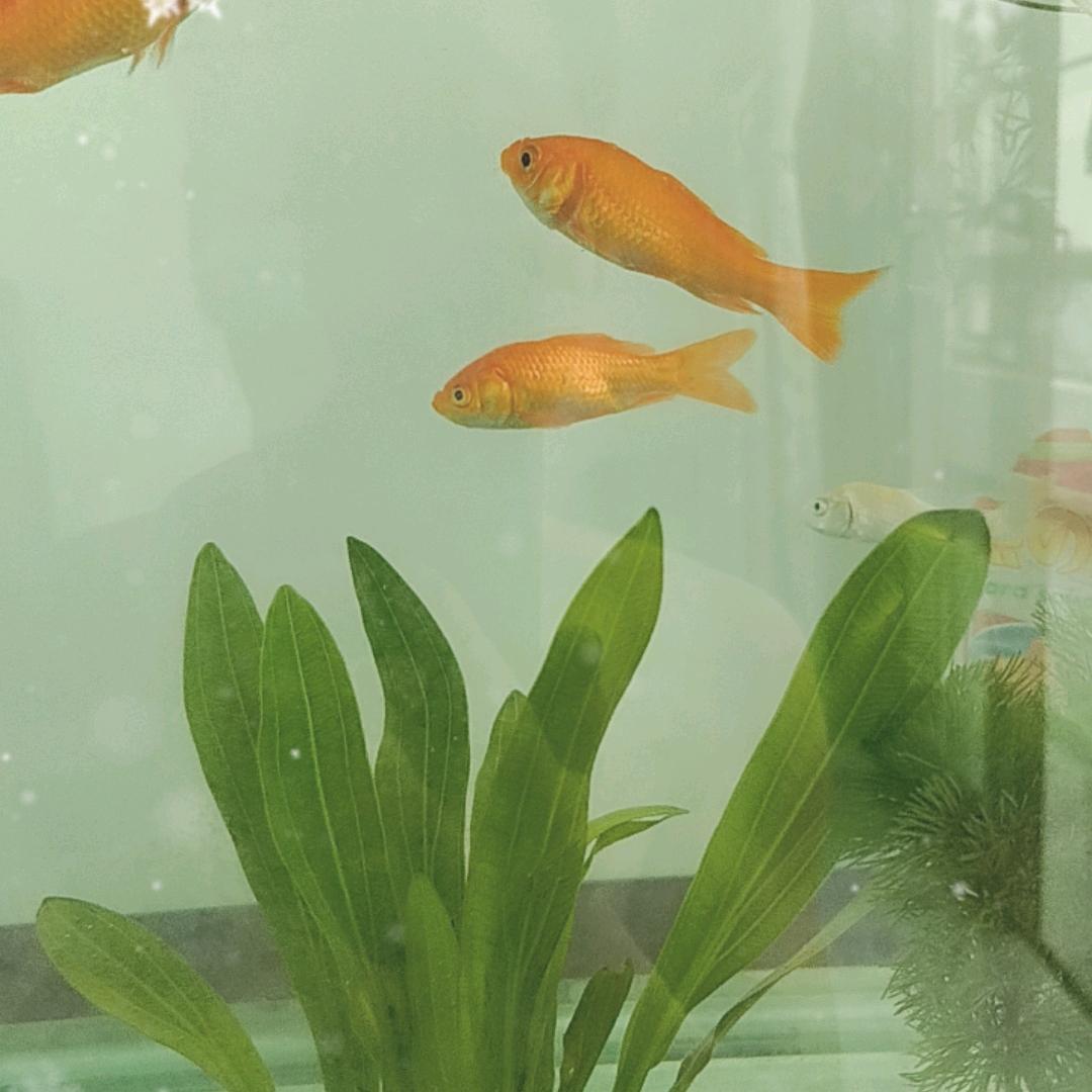 创业水电暖
