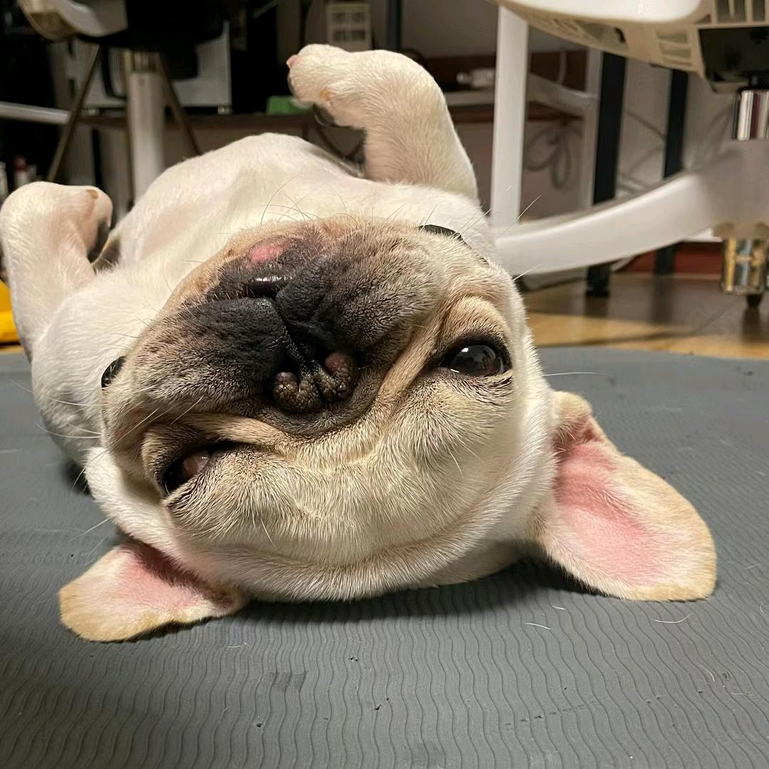 小米稀饭茶叶蛋