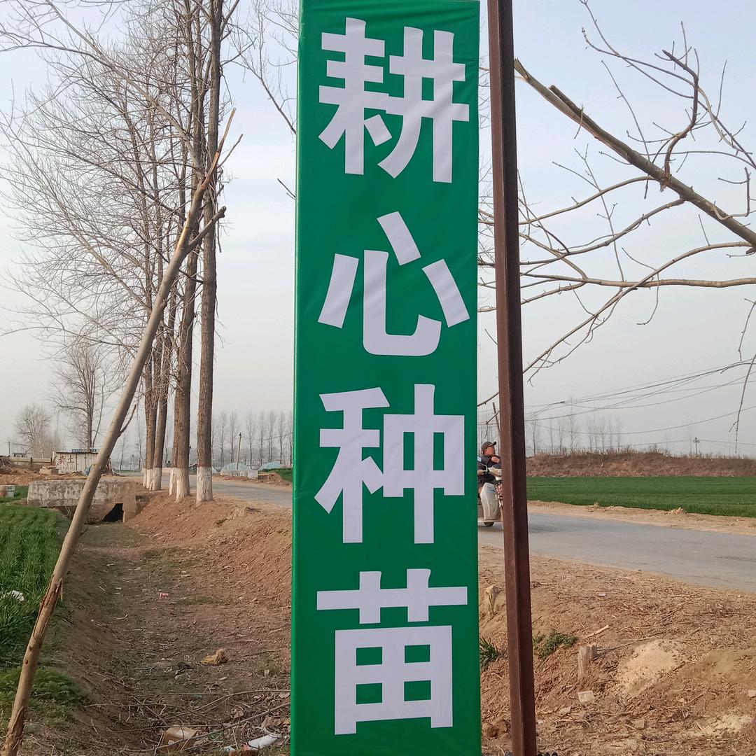 耕心种苗（撸铁中）