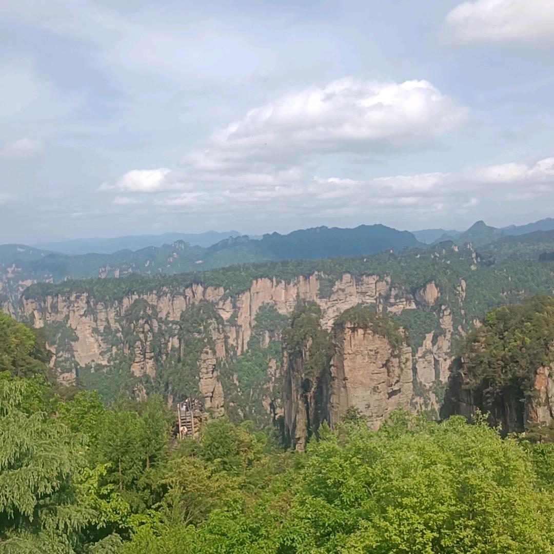 韩如兴