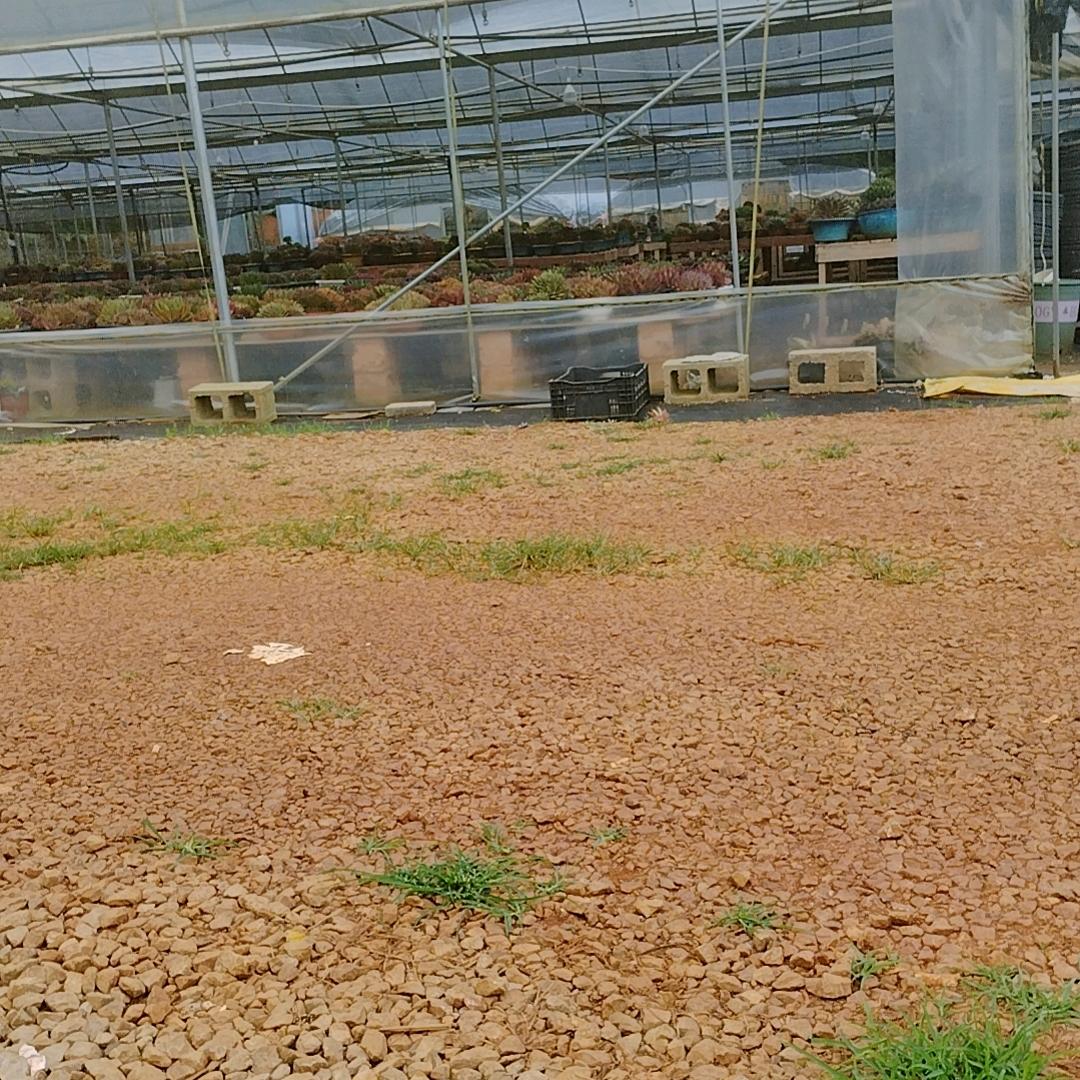 钢板