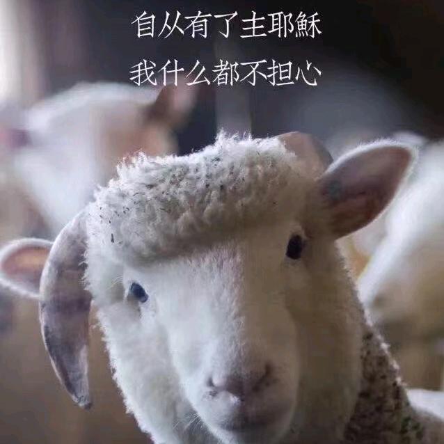 彭春霞